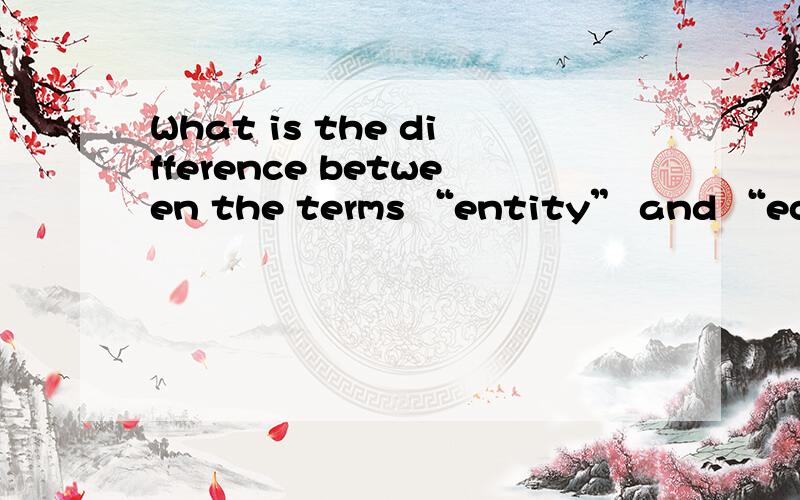 What is the difference between the terms “entity” and “equit