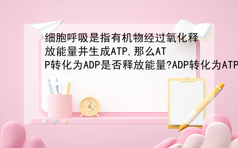 细胞呼吸是指有机物经过氧化释放能量并生成ATP,那么ATP转化为ADP是否释放能量?ADP转化为ATP呢?