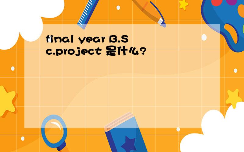 final year B.Sc.project 是什么?