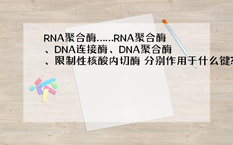 RNA聚合酶……RNA聚合酶、DNA连接酶、DNA聚合酶、限制性核酸内切酶 分别作用于什么键?（氢键?磷酸二酯键?还是都