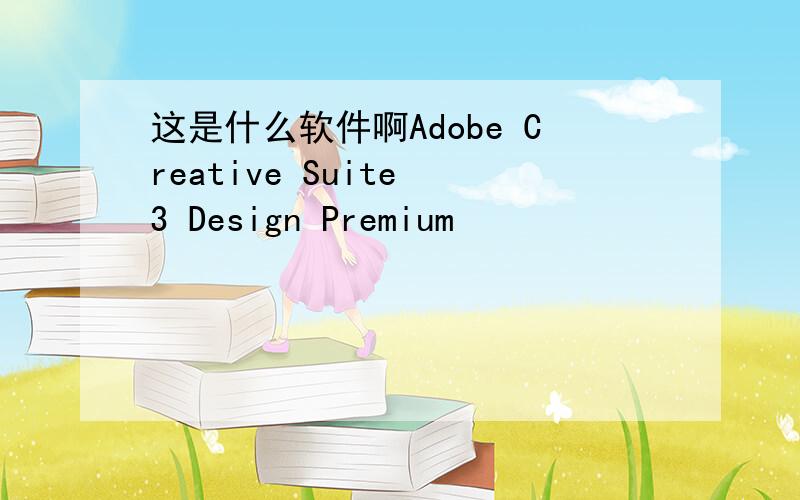 这是什么软件啊Adobe Creative Suite 3 Design Premium