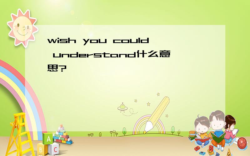 wish you could understand什么意思?