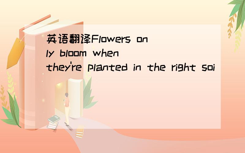 英语翻译Flowers only bloom when they're planted in the right soi