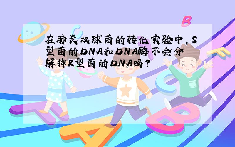 在肺炎双球菌的转化实验中,S型菌的DNA和DNA酶不会分解掉R型菌的DNA吗?