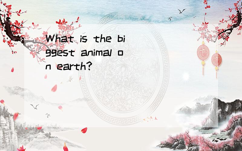 What is the biggest animal on earth?