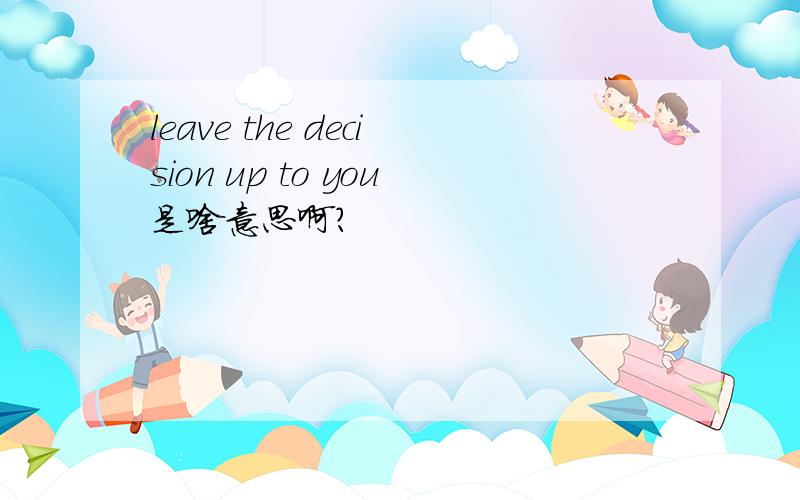 leave the decision up to you是啥意思啊?