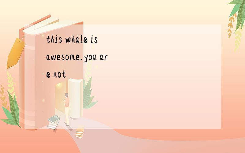 this whale is awesome.you are not