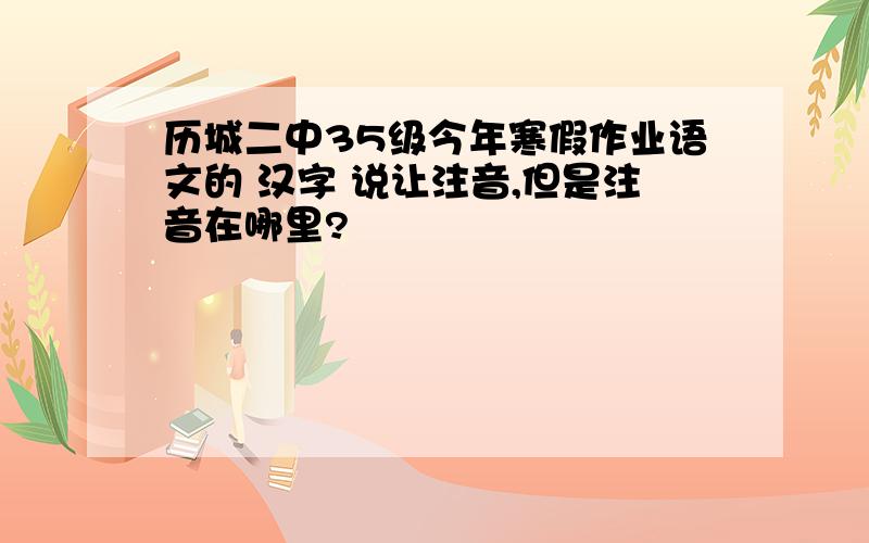 历城二中35级今年寒假作业语文的 汉字 说让注音,但是注音在哪里?