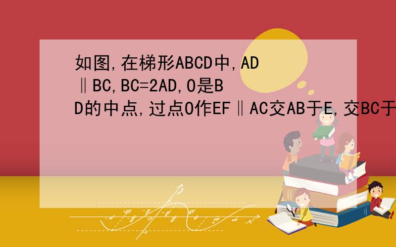 如图,在梯形ABCD中,AD‖BC,BC=2AD,O是BD的中点,过点O作EF‖AC交AB于E,交BC于F,若AC＝16