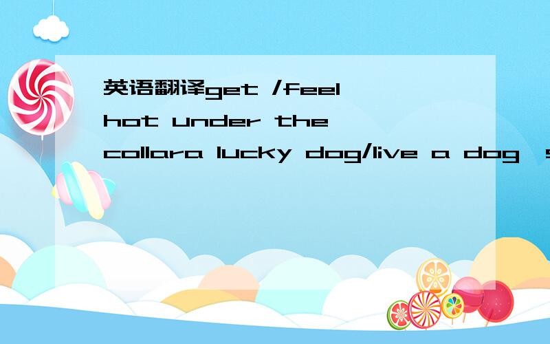 英语翻译get /feel hot under the collara lucky dog/live a dog'sli