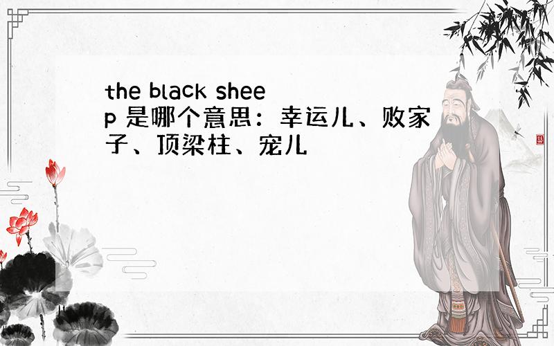 the black sheep 是哪个意思：幸运儿、败家子、顶梁柱、宠儿