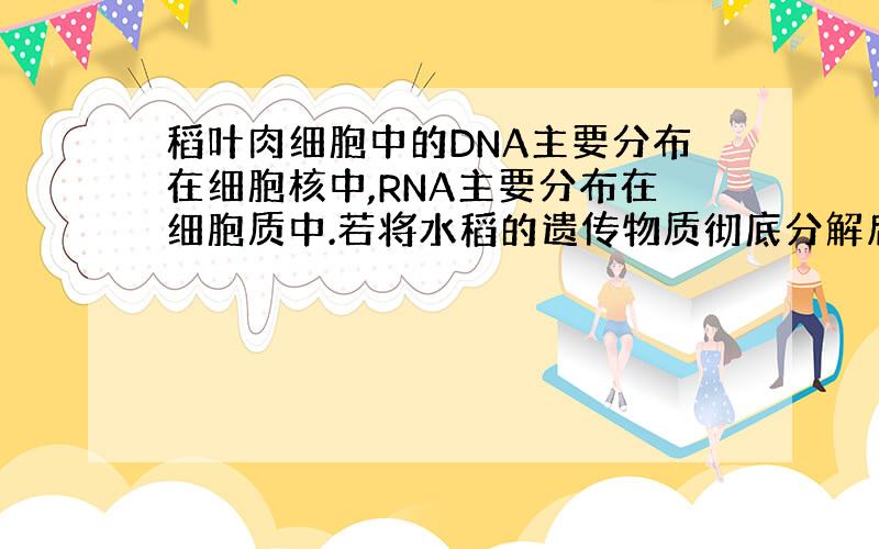 稻叶肉细胞中的DNA主要分布在细胞核中,RNA主要分布在细胞质中.若将水稻的遗传物质彻底分解后,可以得到