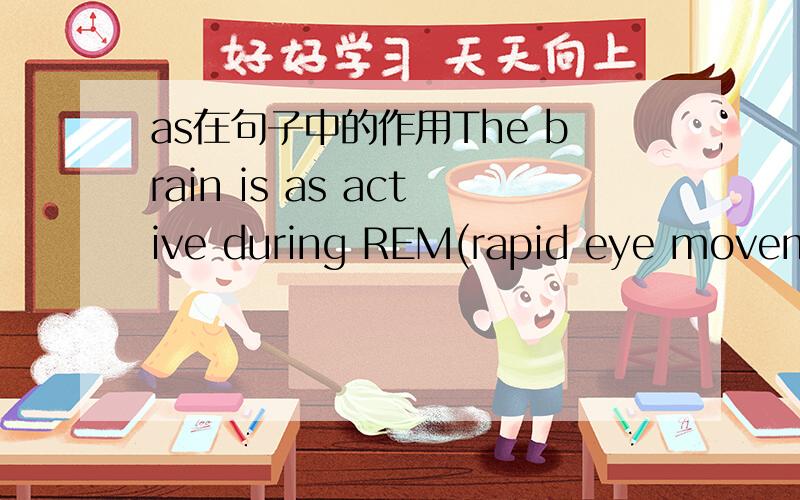 as在句子中的作用The brain is as active during REM(rapid eye movemen