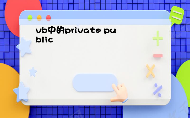 vb中的private public