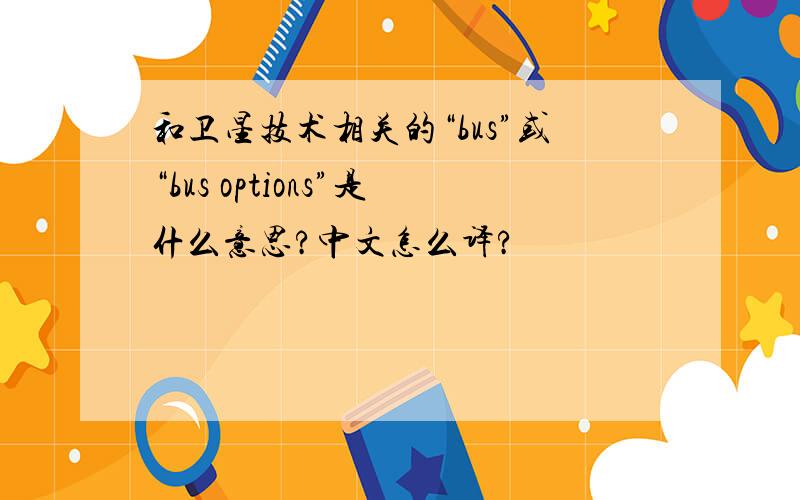 和卫星技术相关的“bus”或“bus options”是什么意思?中文怎么译?