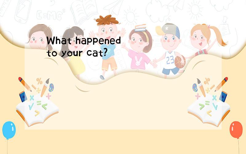 What happened to your cat?