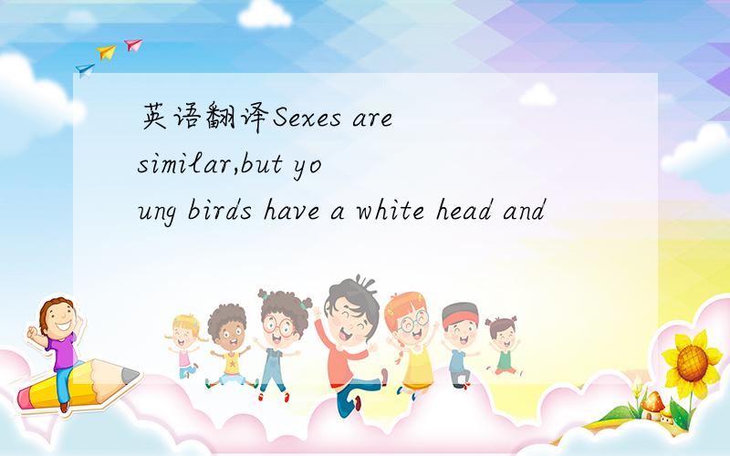 英语翻译Sexes are similar,but young birds have a white head and