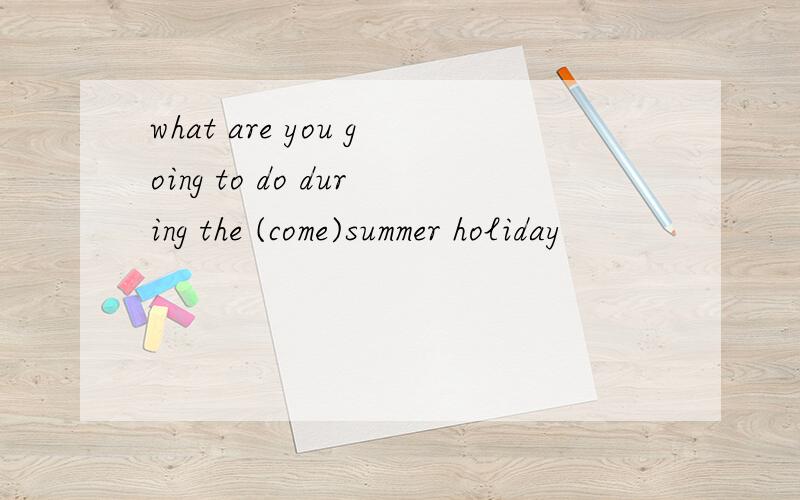 what are you going to do during the (come)summer holiday