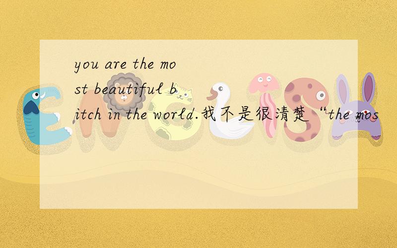 you are the most beautiful bitch in the world.我不是很清楚“the mos