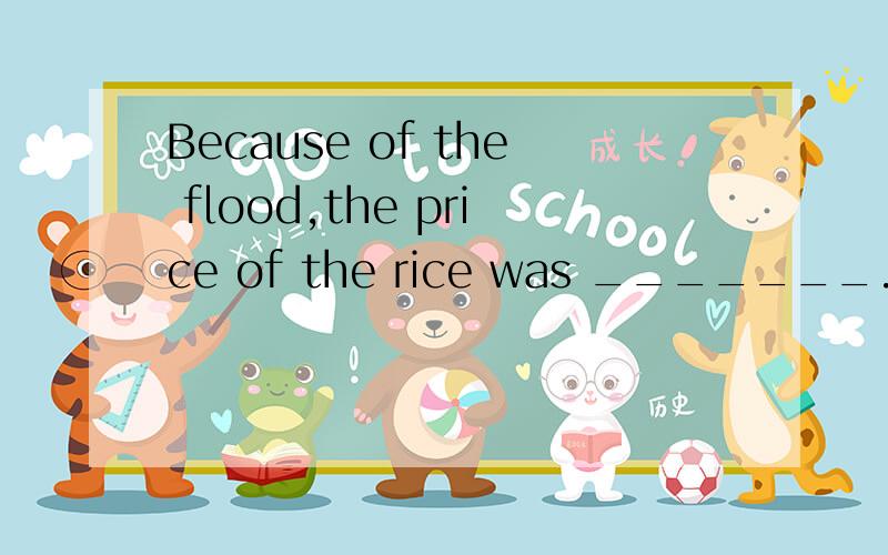 Because of the flood,the price of the rice was _______.
