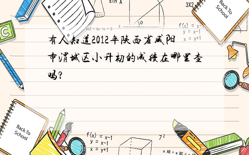 有人知道2012年陕西省咸阳市渭城区小升初的成绩在哪里查吗?