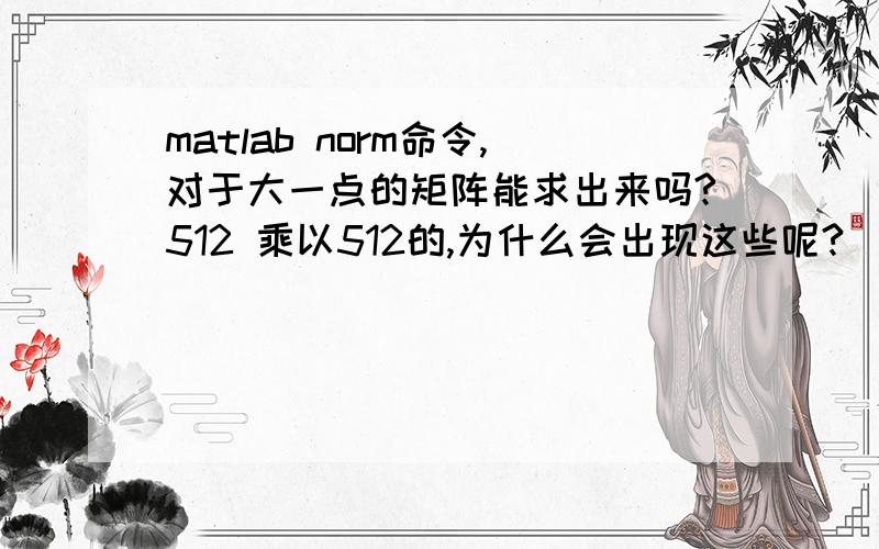 matlab norm命令,对于大一点的矩阵能求出来吗?512 乘以512的,为什么会出现这些呢?