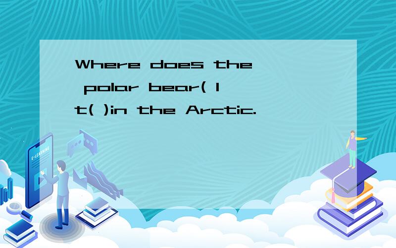 Where does the polar bear( It( )in the Arctic.