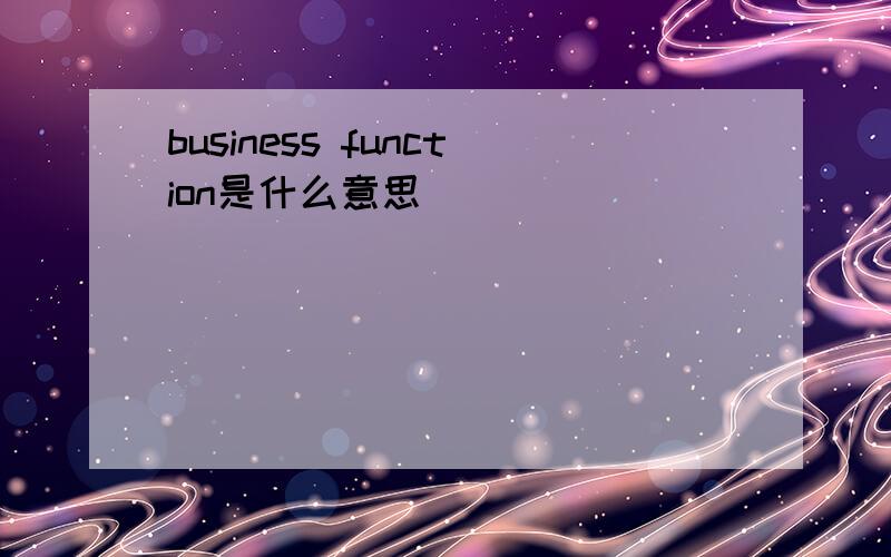 business function是什么意思