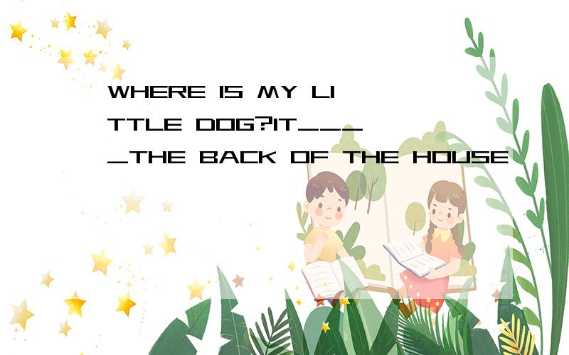 WHERE IS MY LITTLE DOG?IT____THE BACK OF THE HOUSE
